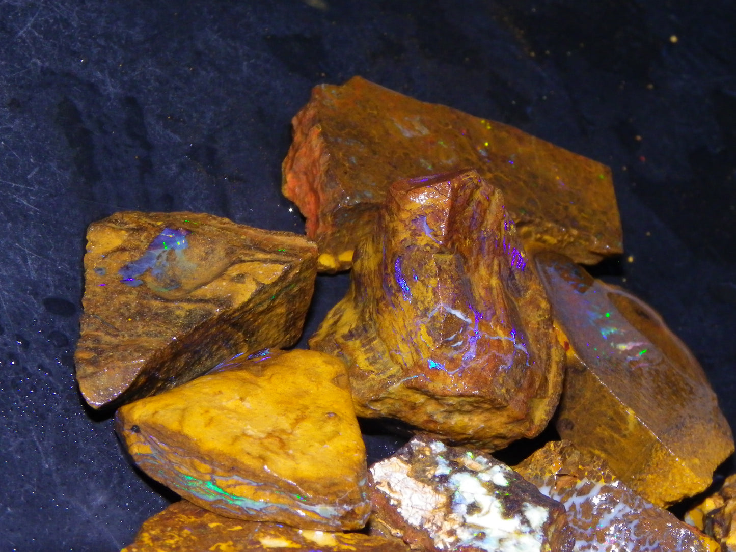 Nice Rough/Sliced Koroit/Matrix Opal Parcel