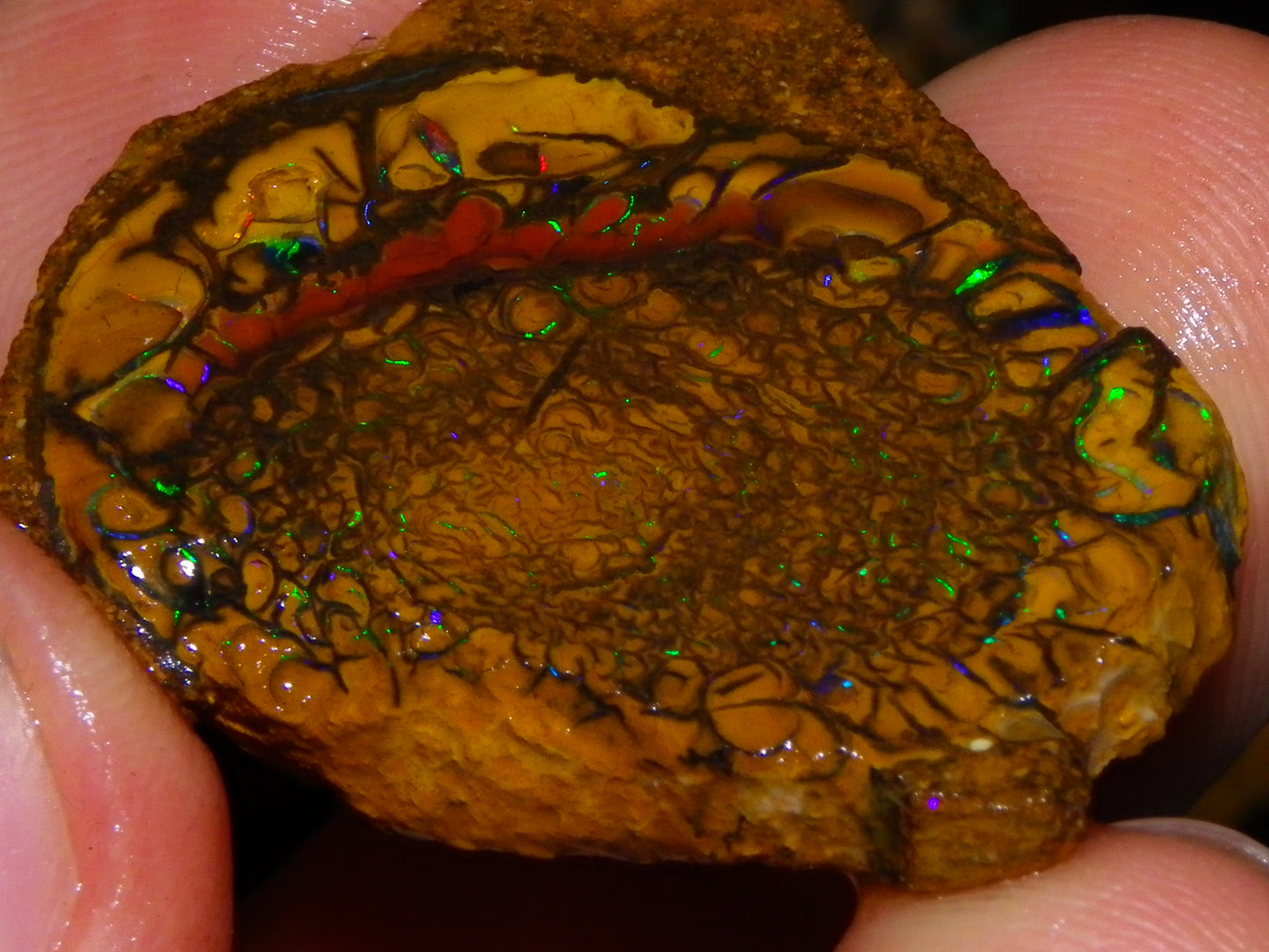 2 Matching/Sliced Rough Koroit Opals 119.3cts Green Fires/Patterns Double sided