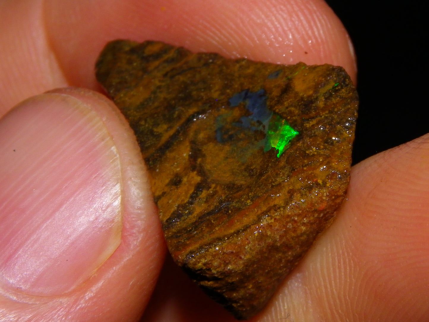 Nice Rough/Sliced Koroit/Matrix Opal Parcel