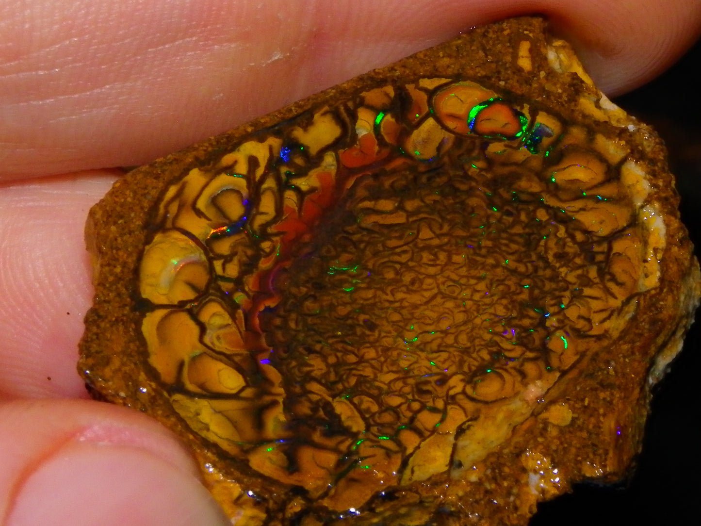 2 Matching/Sliced Rough Koroit Opals 119.3cts Green Fires/Patterns Double sided