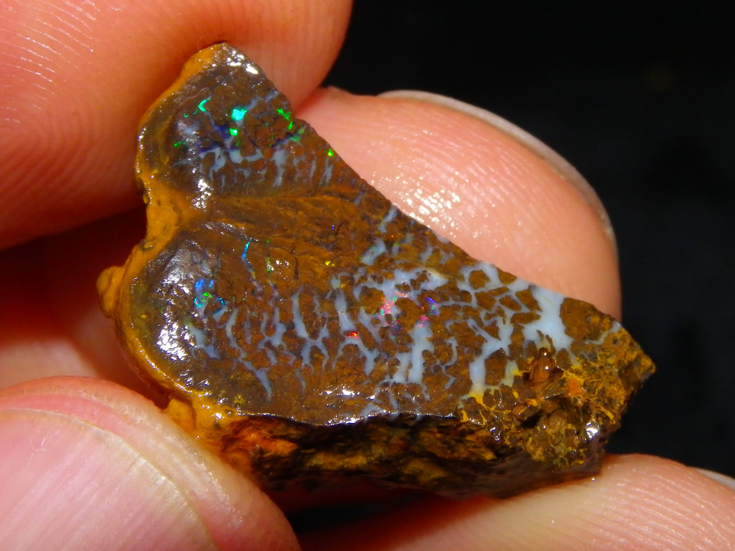 Nice Rough/Sliced Koroit/Matrix Opal Parcel