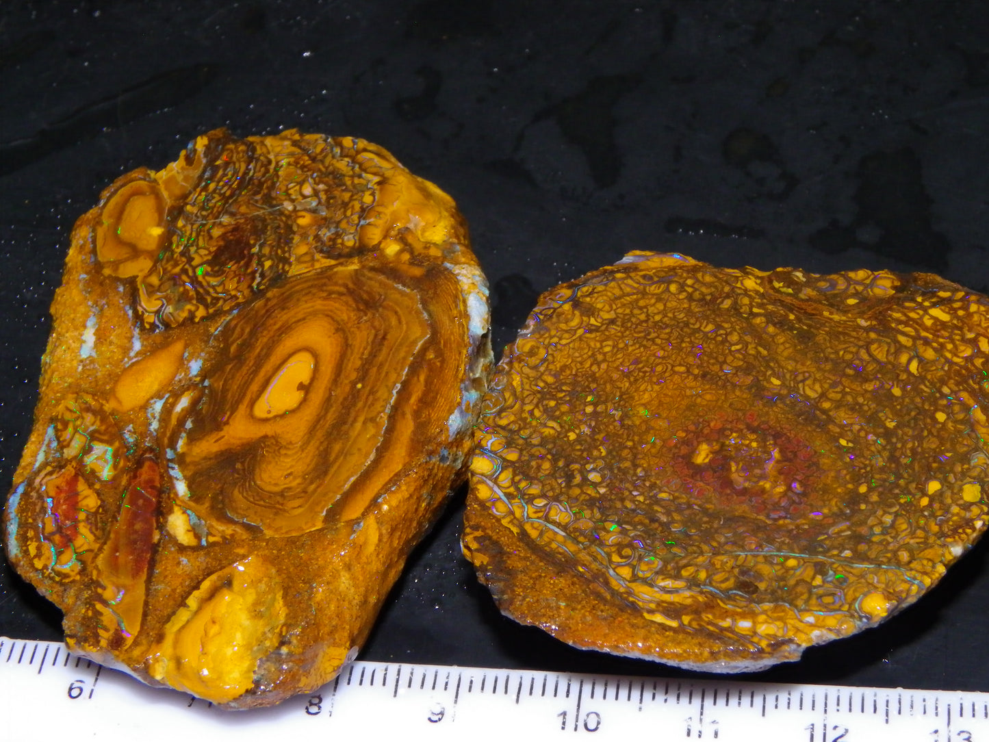 2 NIce Larger Rough/sliced Koroit Opals 476cts Queensland Australia Pattern/Fires :)