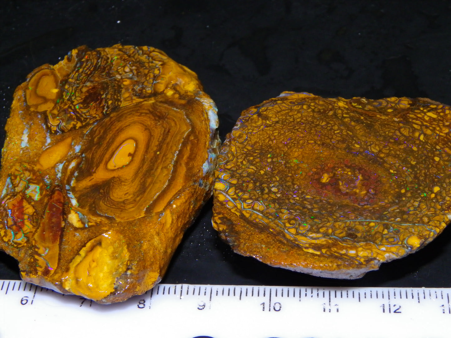 2 NIce Larger Rough/sliced Koroit Opals 476cts Queensland Australia Pattern/Fires :)