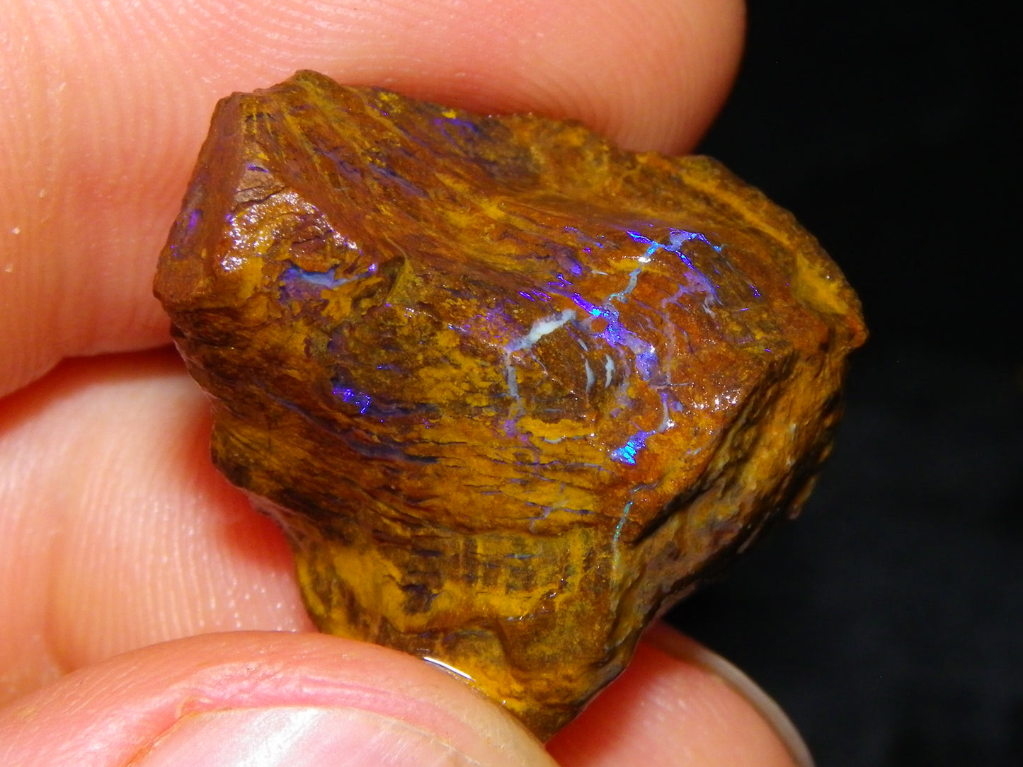 Nice Rough/Sliced Koroit/Matrix Opal Parcel