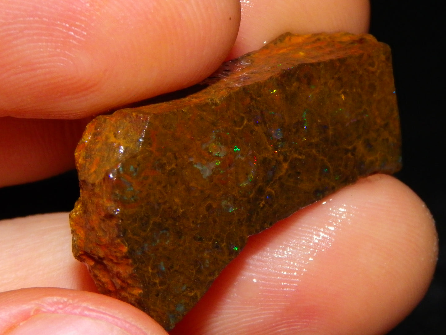 Nice Rough/Sliced Koroit/Matrix Opal Parcel