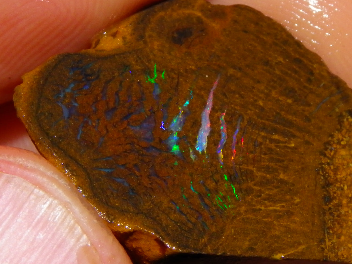 Nice Rough/Sliced Koroit/Matrix Opal Parcel