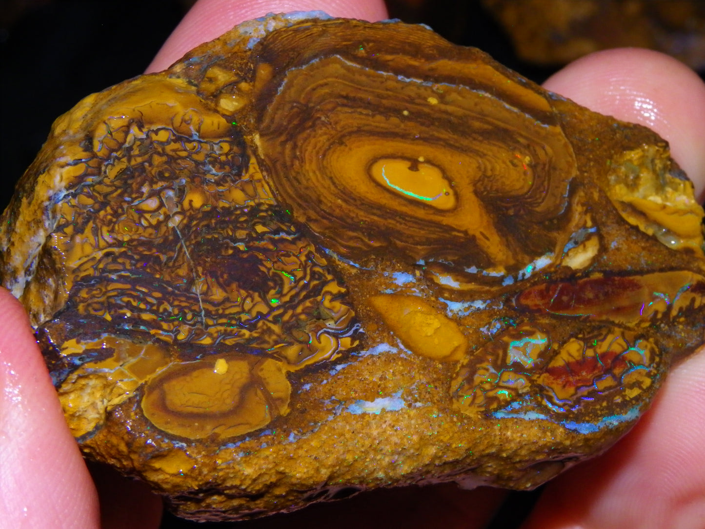 2 NIce Larger Rough/sliced Koroit Opals 476cts Queensland Australia Pattern/Fires :)