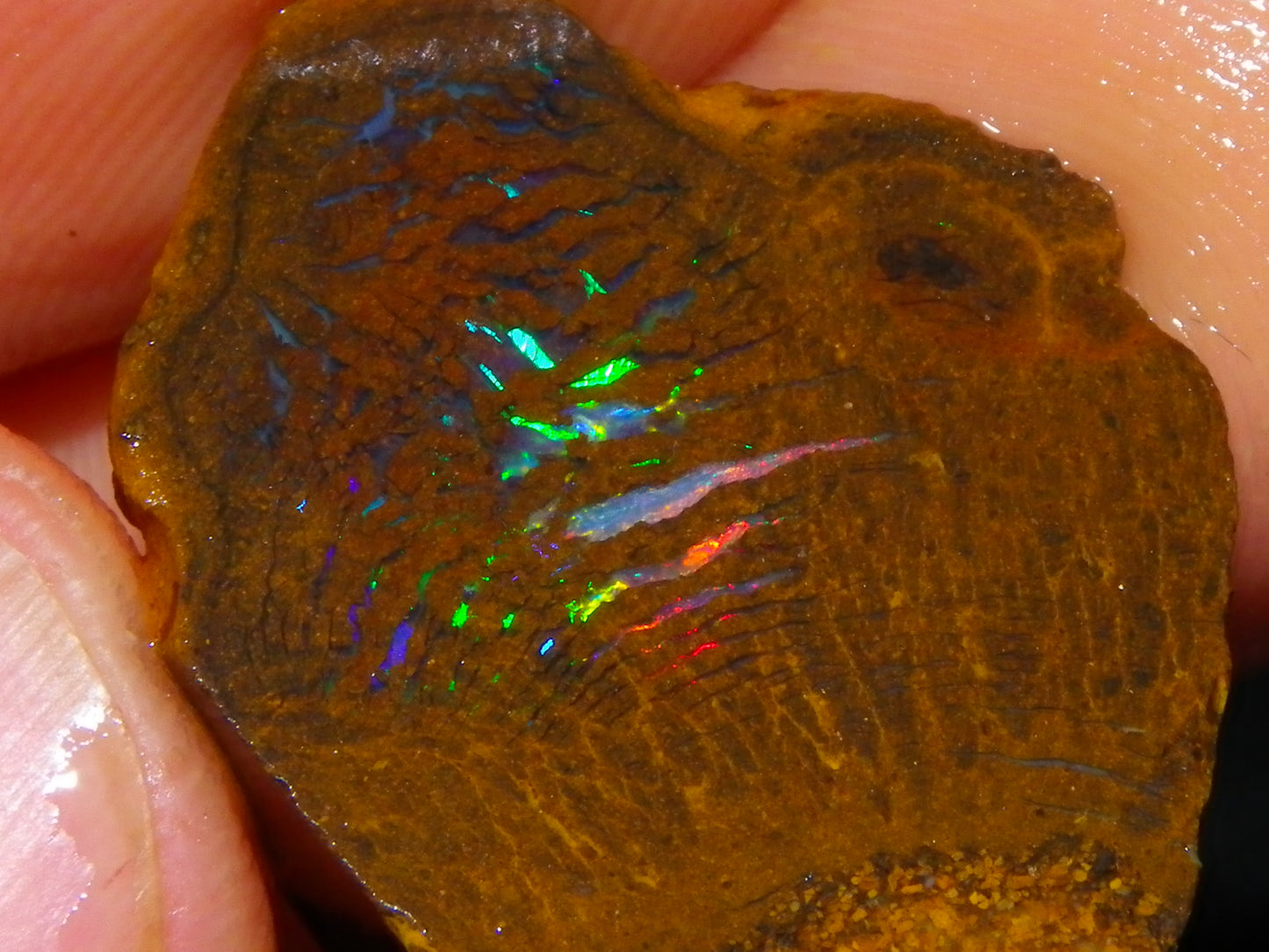 Nice Rough/Sliced Koroit/Matrix Opal Parcel