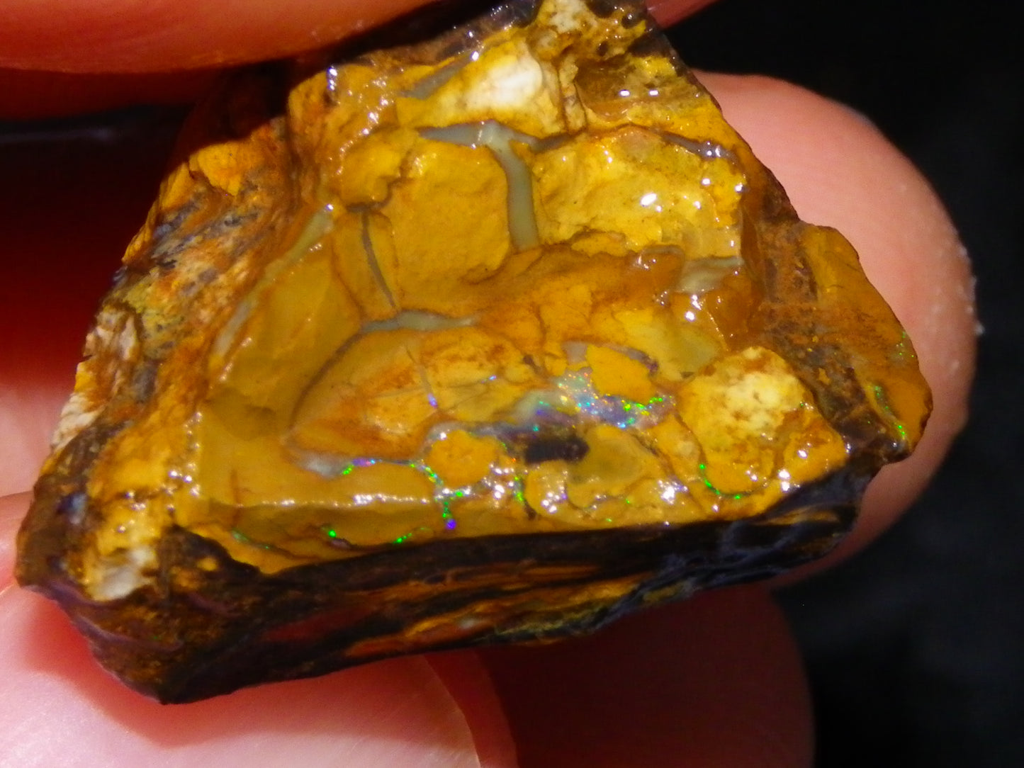 Nice Rough/Sliced Koroit/Matrix Opal Parcel