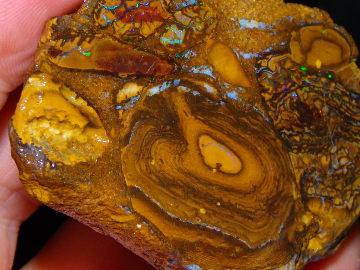 2 NIce Larger Rough/sliced Koroit Opals 476cts Queensland Australia Pattern/Fires :)