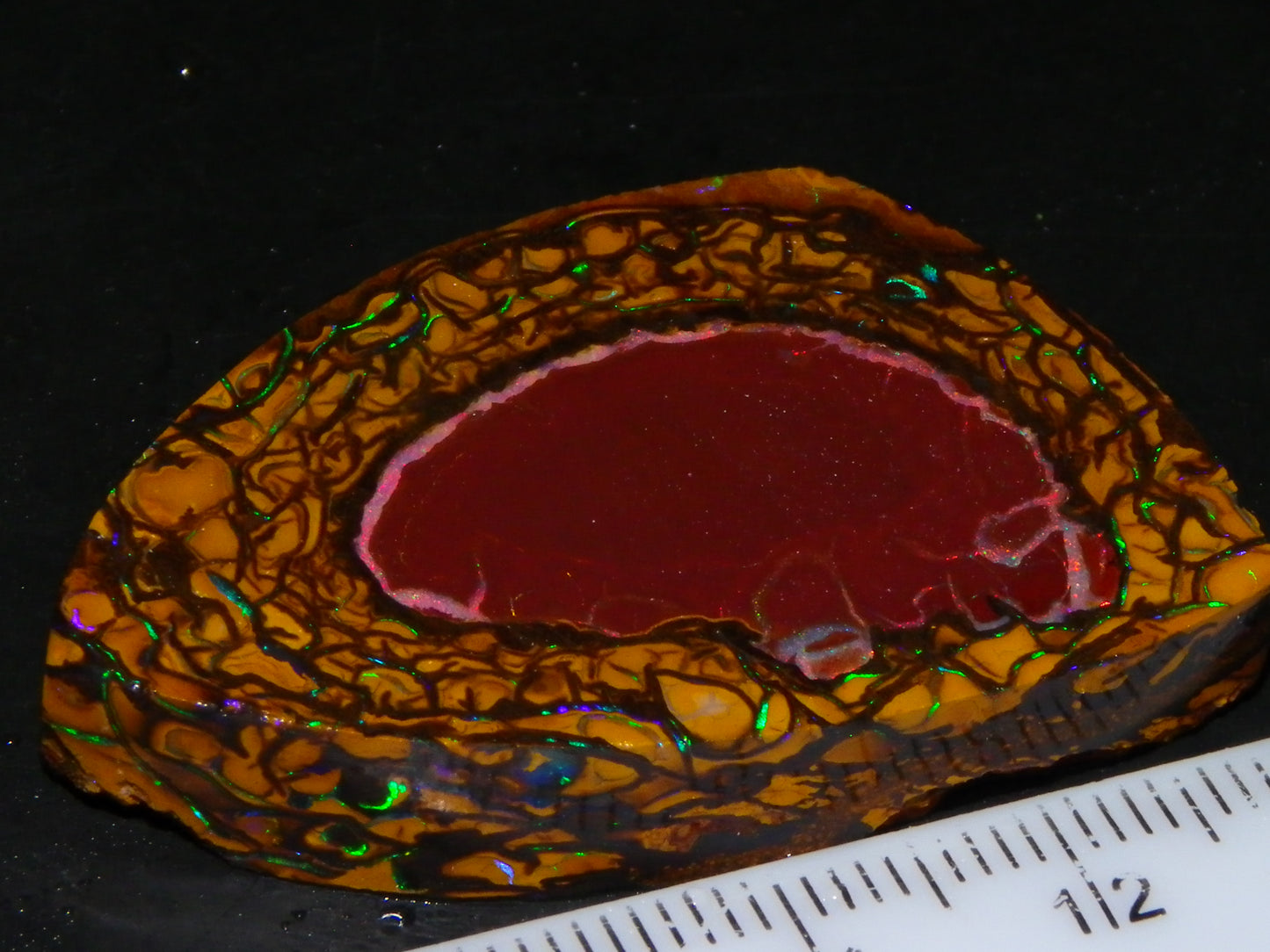 Nice Quality Koroit Opal Rough/Preform 76.55cts Rare Red Band Green Fires Patterns Au