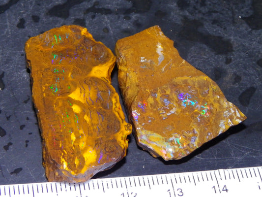 2 Nice Opalton Matrix Opal Rough/Sliced Specimens 132.3cts Green/Red/Blue Fires