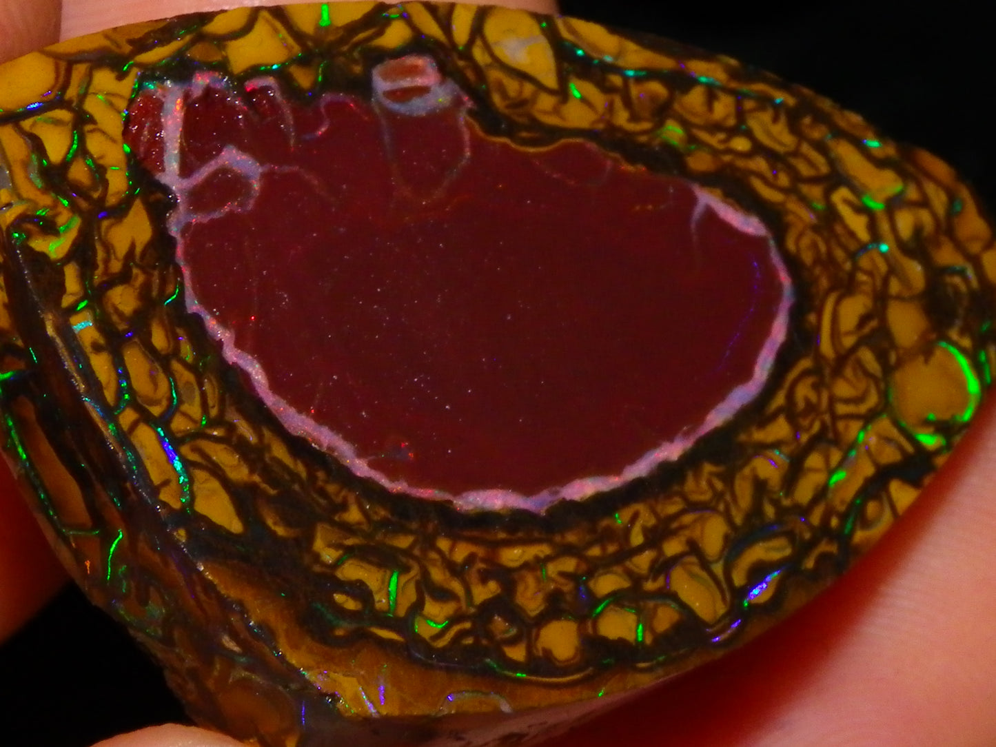 Nice Quality Koroit Opal Rough/Preform 76.55cts Rare Red Band Green Fires Patterns Au