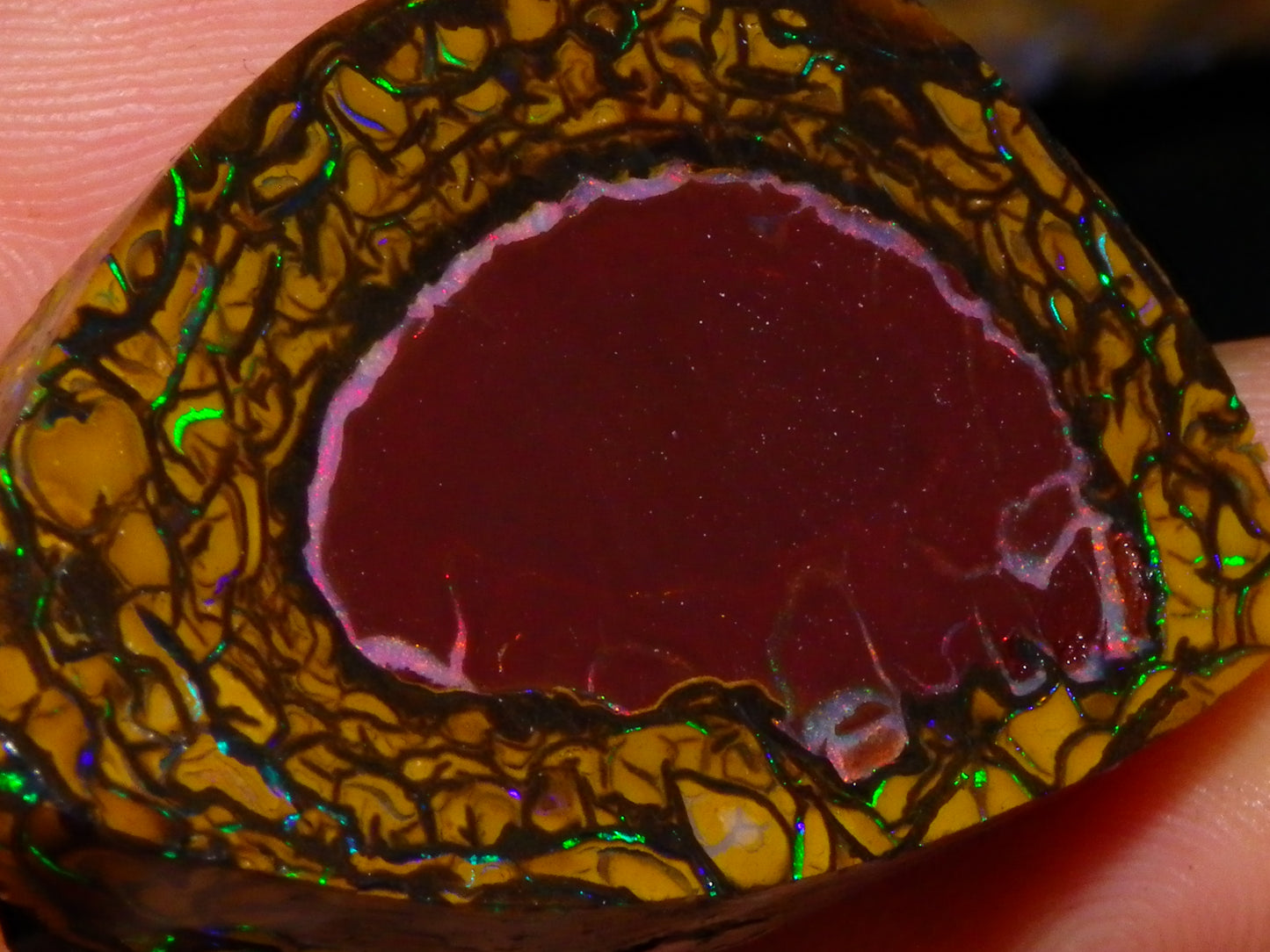 Nice Quality Koroit Opal Rough/Preform 76.55cts Rare Red Band Green Fires Patterns Au