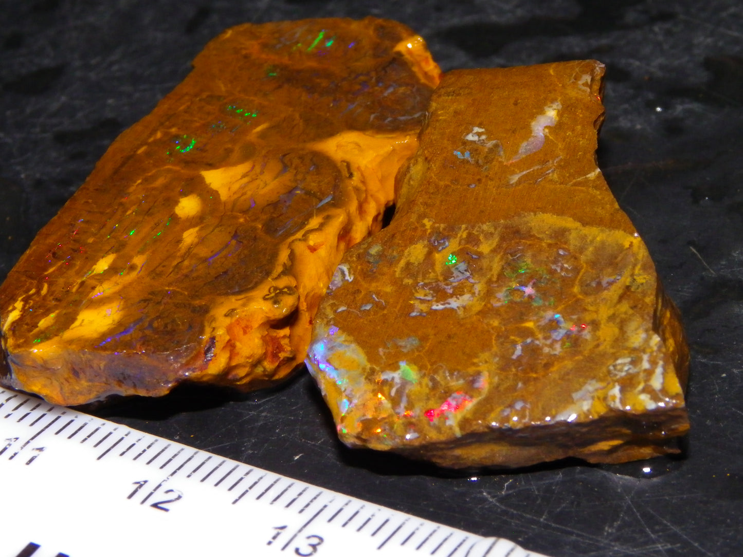 2 Nice Opalton Matrix Opal Rough/Sliced Specimens 132.3cts Green/Red/Blue Fires