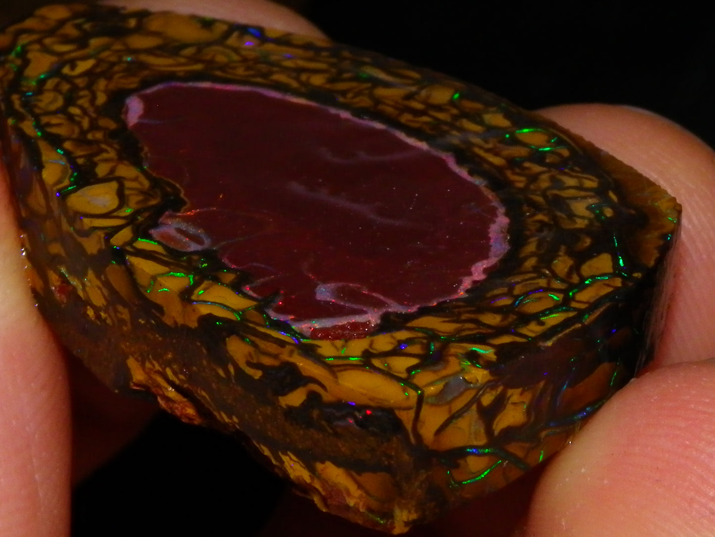 Nice Quality Koroit Opal Rough/Preform 76.55cts Rare Red Band Green Fires Patterns Au