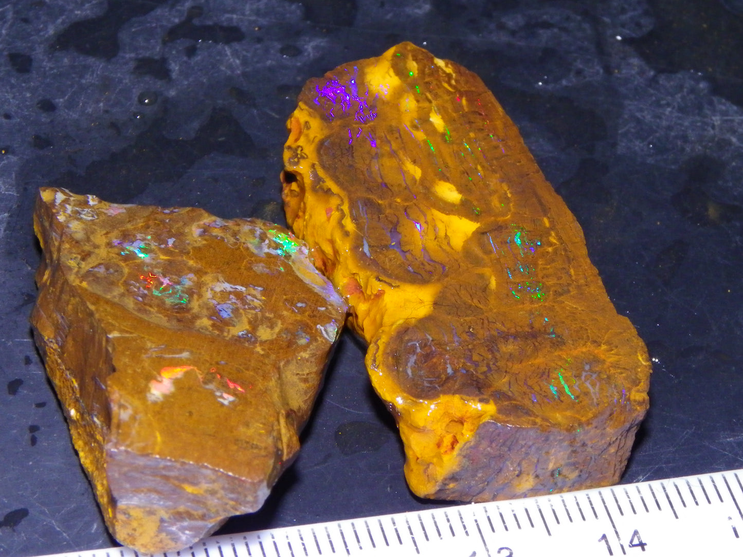 2 Nice Opalton Matrix Opal Rough/Sliced Specimens 132.3cts Green/Red/Blue Fires