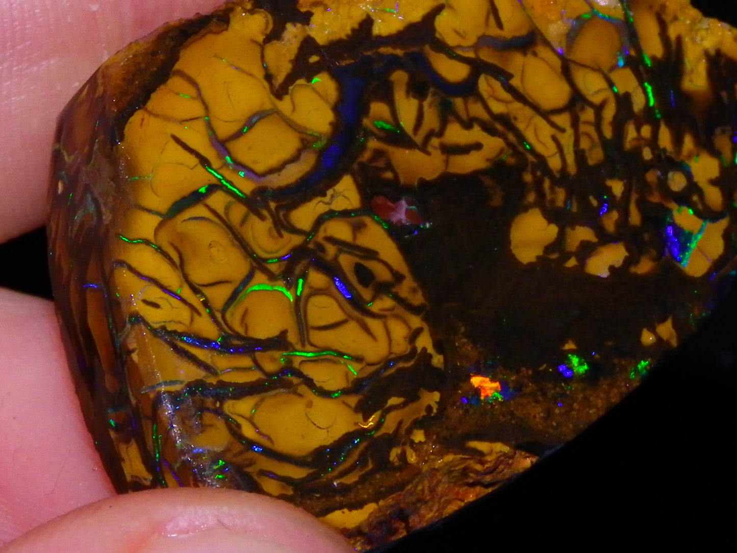 Nice Quality Koroit Opal Rough/Preform 76.55cts Rare Red Band Green Fires Patterns Au