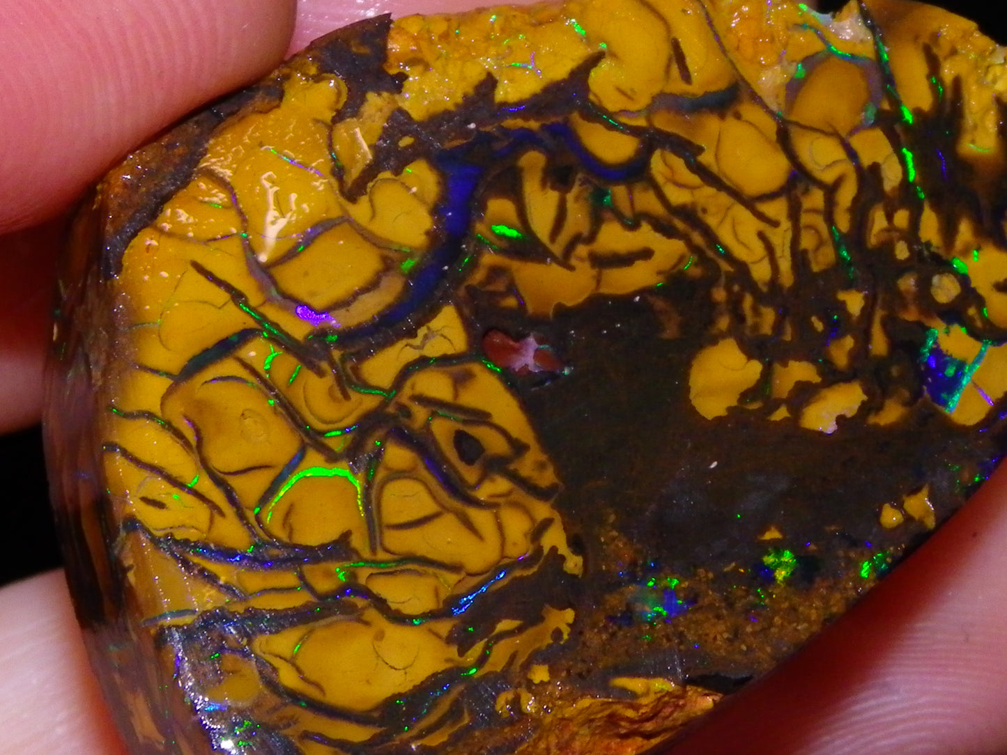 Nice Quality Koroit Opal Rough/Preform 76.55cts Rare Red Band Green Fires Patterns Au