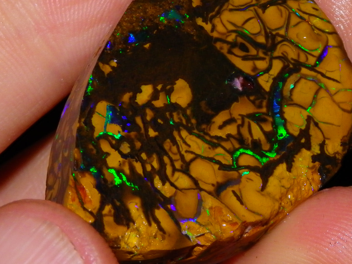 Nice Quality Koroit Opal Rough/Preform 76.55cts Rare Red Band Green Fires Patterns Au