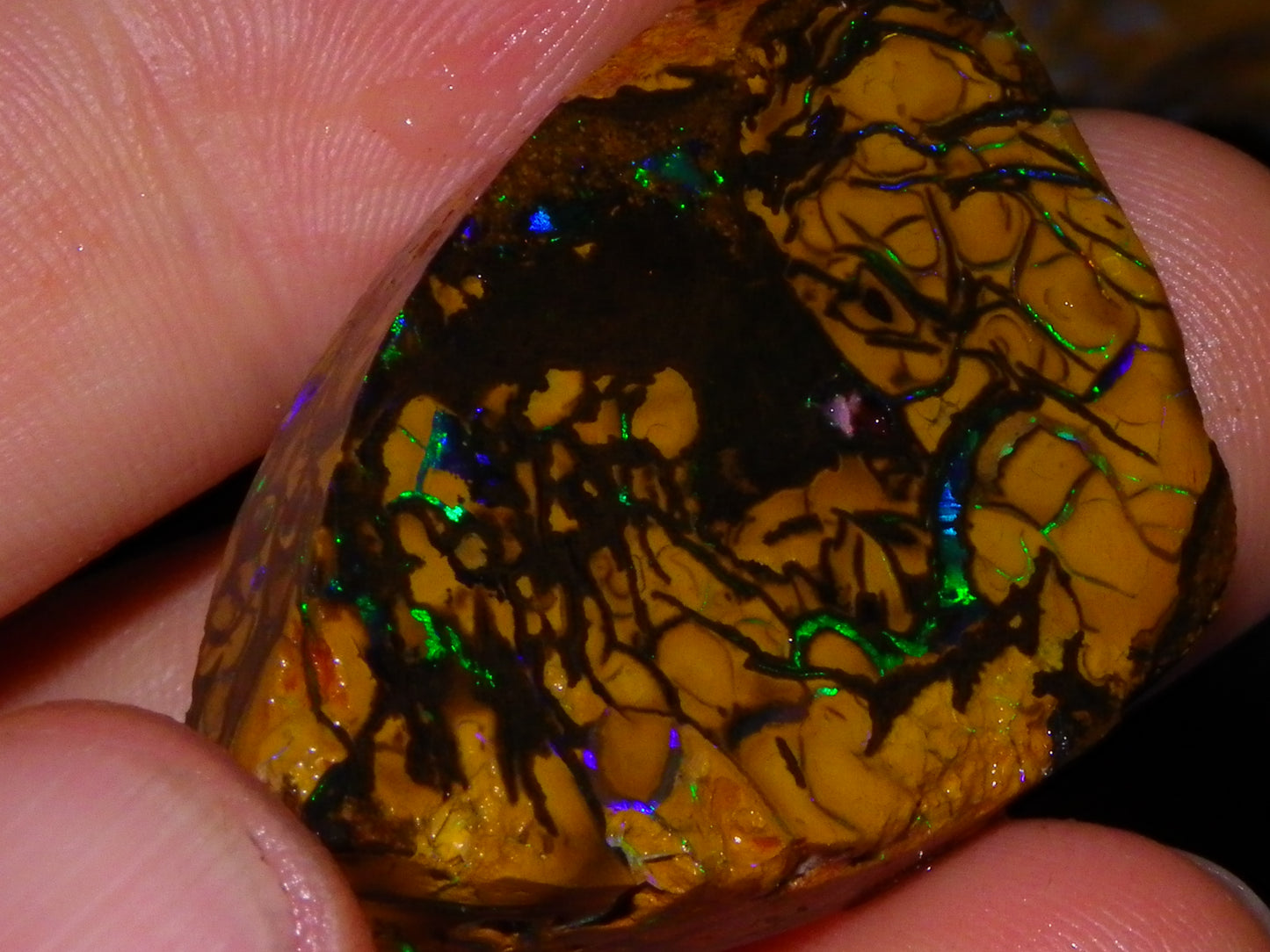 Nice Quality Koroit Opal Rough/Preform 76.55cts Rare Red Band Green Fires Patterns Au