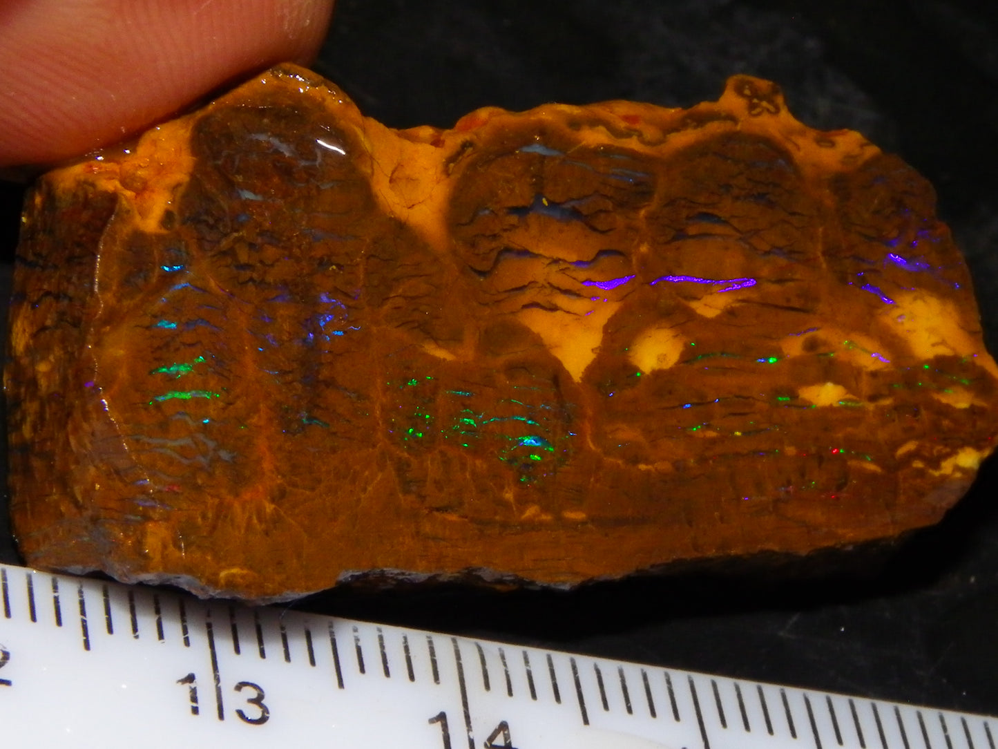 2 Nice Opalton Matrix Opal Rough/Sliced Specimens 132.3cts Green/Red/Blue Fires