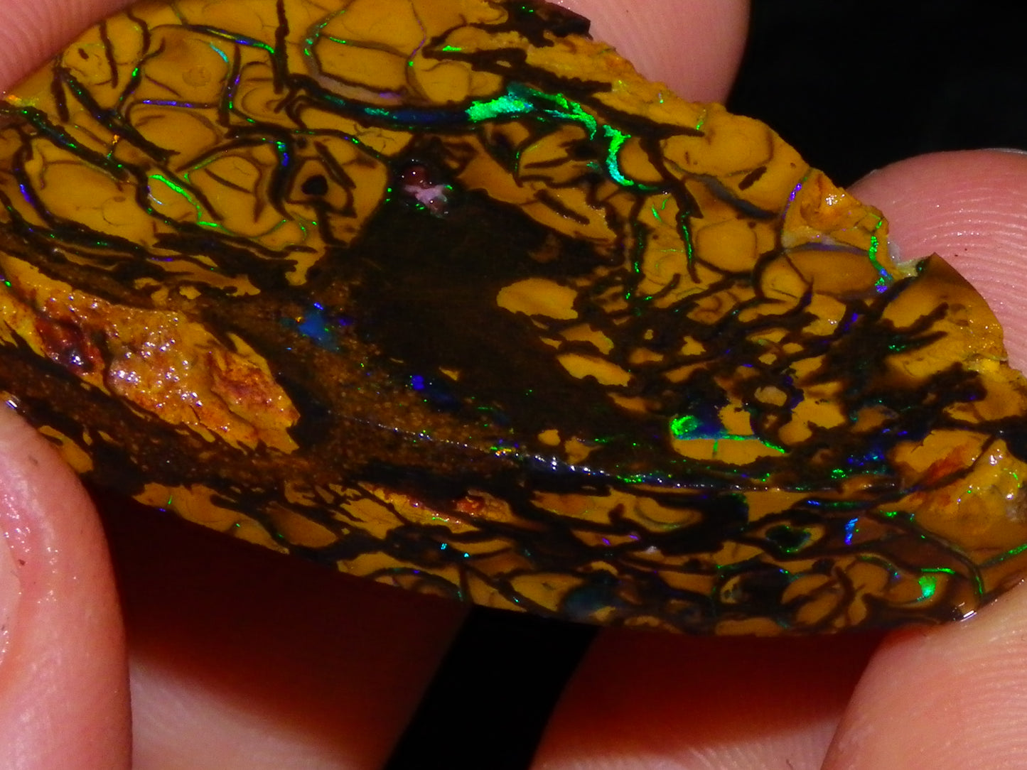 Nice Quality Koroit Opal Rough/Preform 76.55cts Rare Red Band Green Fires Patterns Au