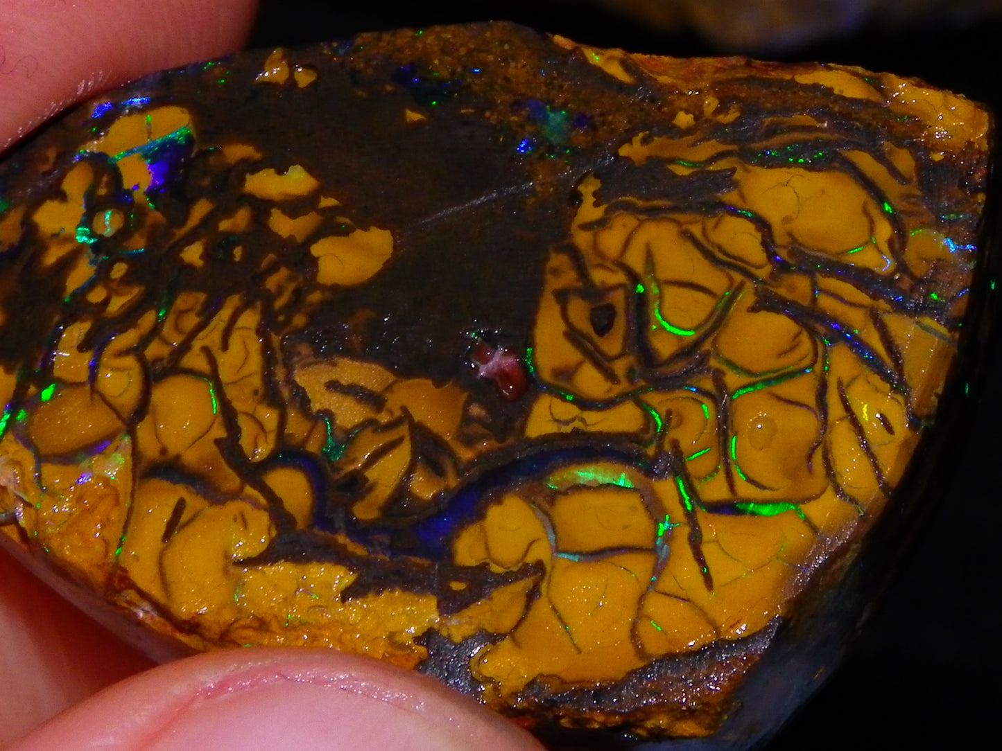 Nice Quality Koroit Opal Rough/Preform 76.55cts Rare Red Band Green Fires Patterns Au