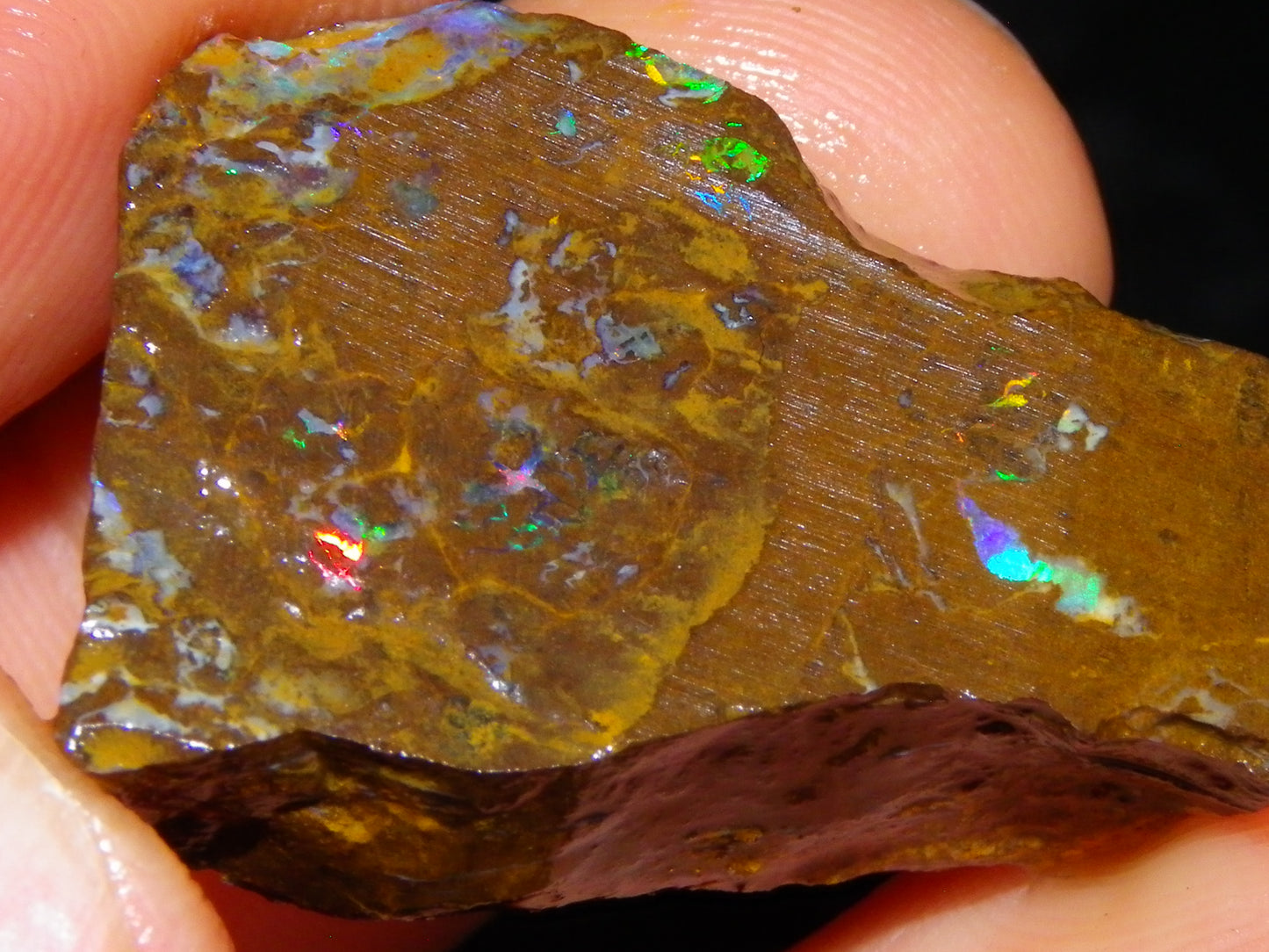 2 Nice Opalton Matrix Opal Rough/Sliced Specimens 132.3cts Green/Red/Blue Fires