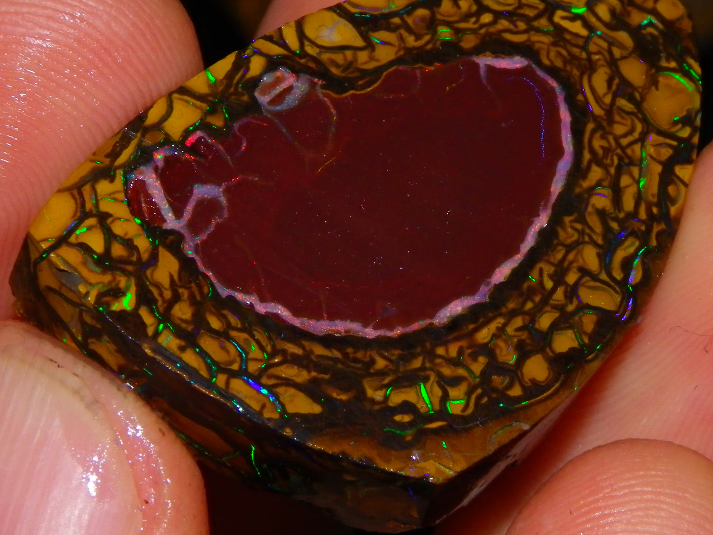 Nice Quality Koroit Opal Rough/Preform 76.55cts Rare Red Band Green Fires Patterns Au