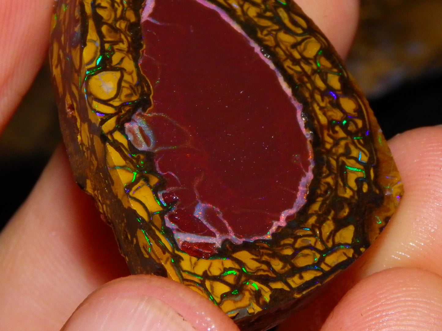 Nice Quality Koroit Opal Rough/Preform 76.55cts Rare Red Band Green Fires Patterns Au