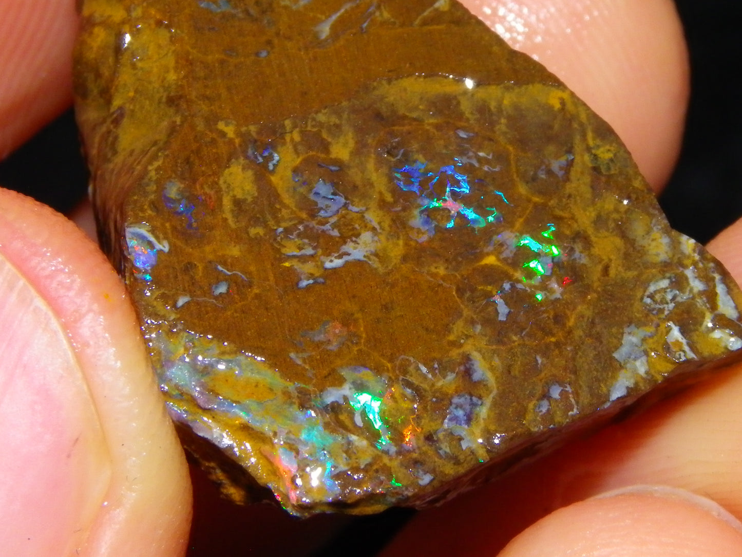 2 Nice Opalton Matrix Opal Rough/Sliced Specimens 132.3cts Green/Red/Blue Fires