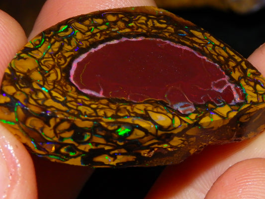 Nice Quality Koroit Opal Rough/Preform 76.55cts Rare Red Band Green Fires Patterns Au