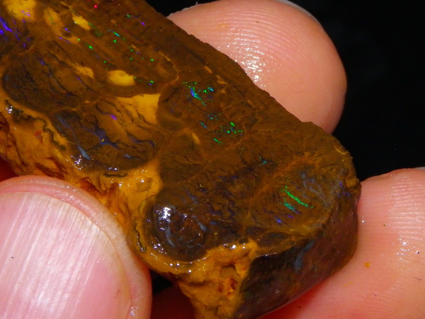 2 Nice Opalton Matrix Opal Rough/Sliced Specimens 132.3cts Green/Red/Blue Fires