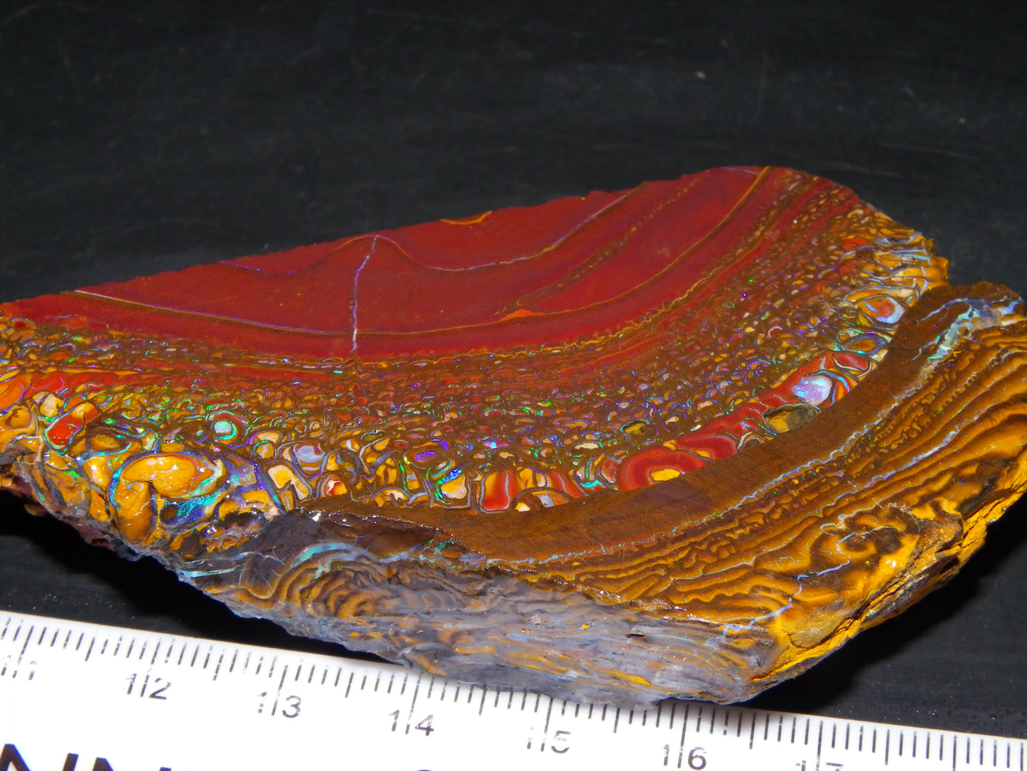 Nice Large 516cts Rough/Sliced Koroit Opal Specimen Slab Queensland Au Fires/Patterns