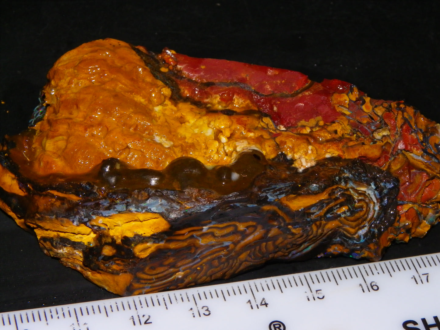 Nice Large 516cts Rough/Sliced Koroit Opal Specimen Slab Queensland Au Fires/Patterns