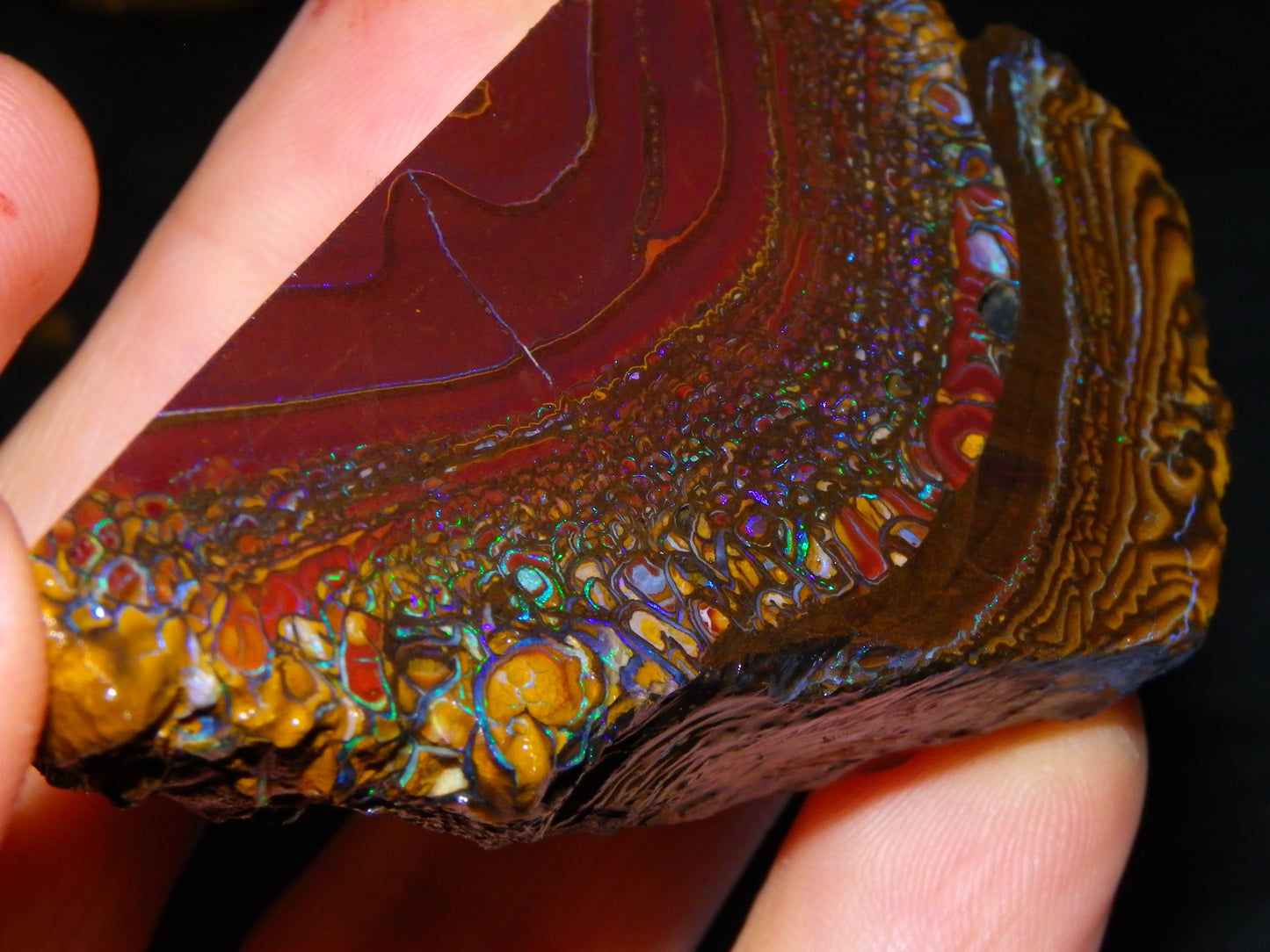 Nice Large 516cts Rough/Sliced Koroit Opal Specimen Slab Queensland Au Fires/Patterns