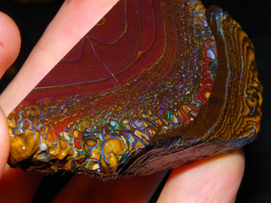 Nice Large 516cts Rough/Sliced Koroit Opal Specimen Slab Queensland Au Fires/Patterns