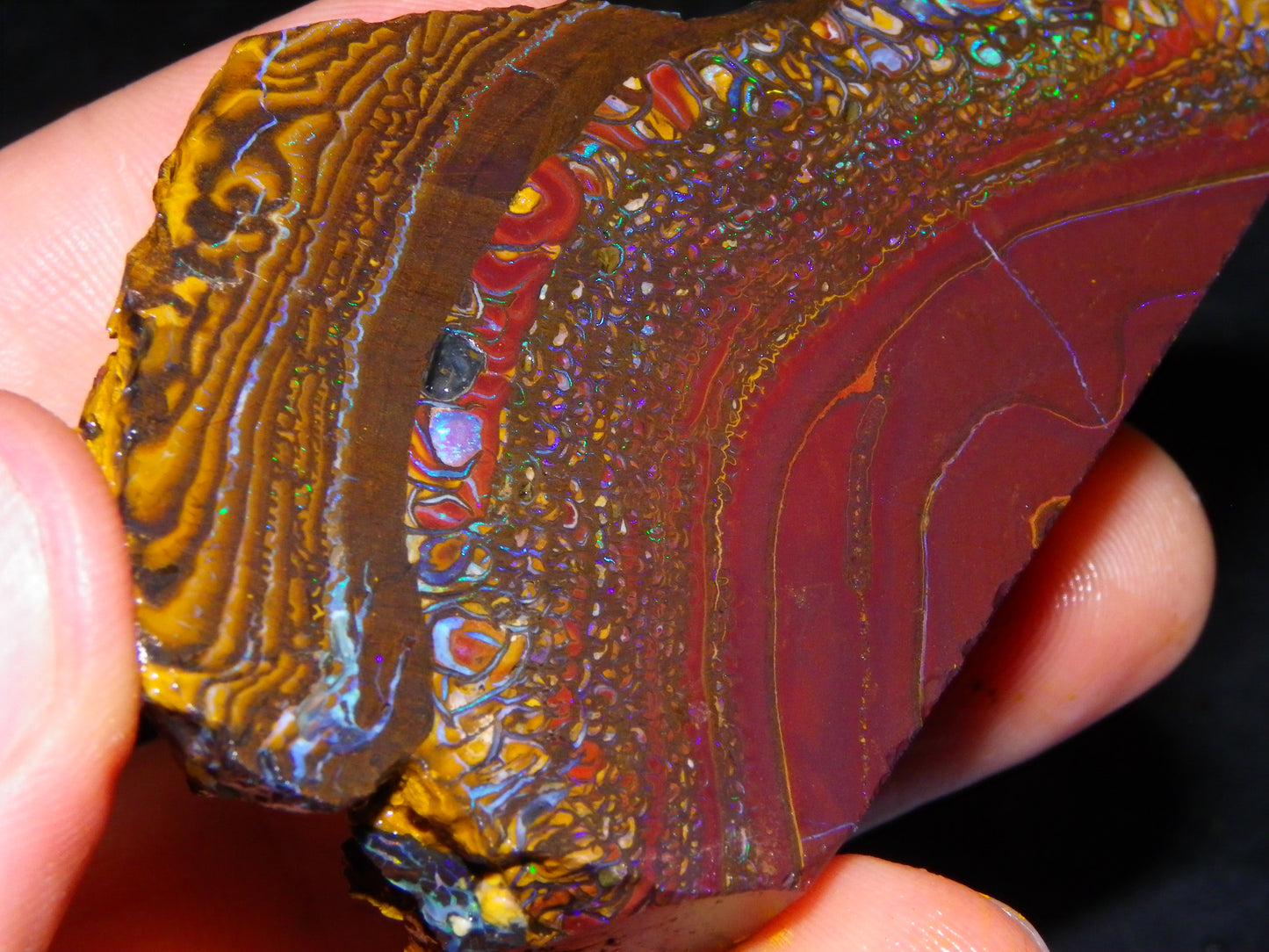 Nice Large 516cts Rough/Sliced Koroit Opal Specimen Slab Queensland Au Fires/Patterns