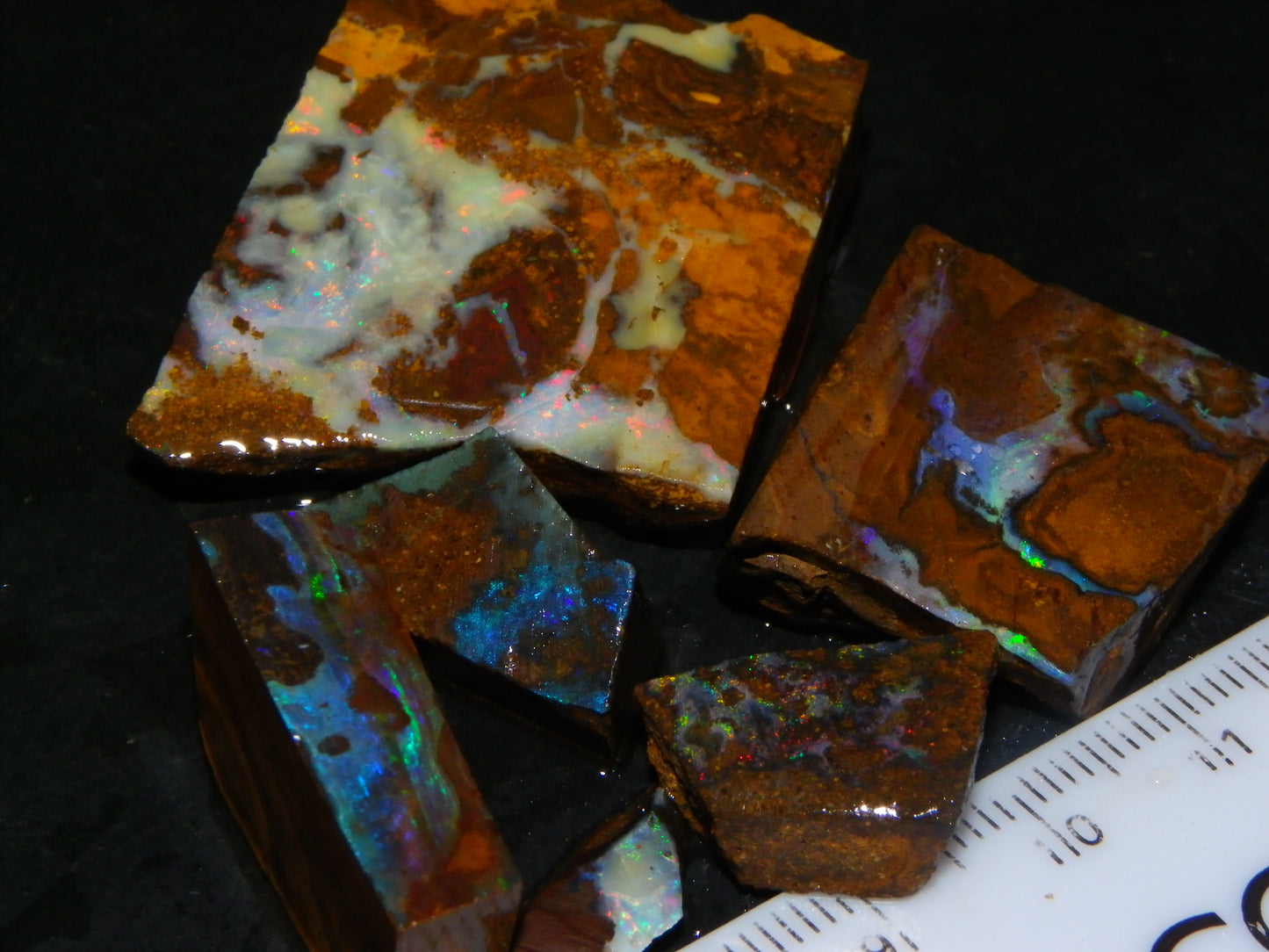 Nice Rough/Sliced/Rubbed Boulder Opal Parcel 241cts Queensland Australia :)