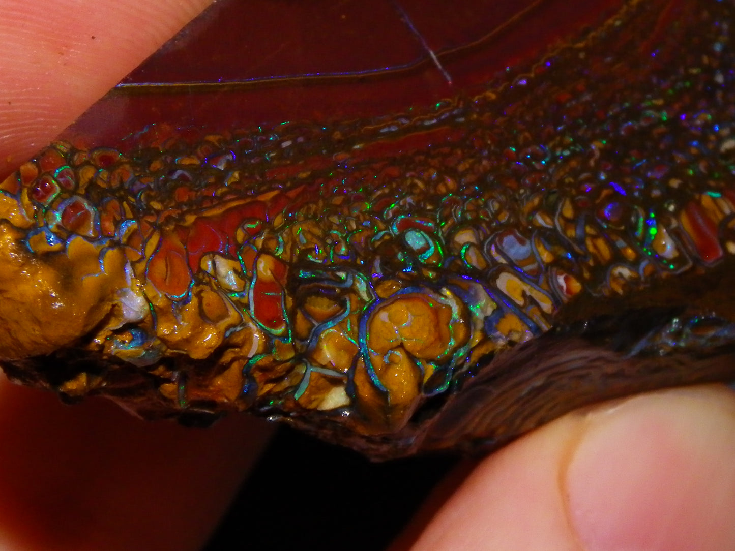 Nice Large 516cts Rough/Sliced Koroit Opal Specimen Slab Queensland Au Fires/Patterns