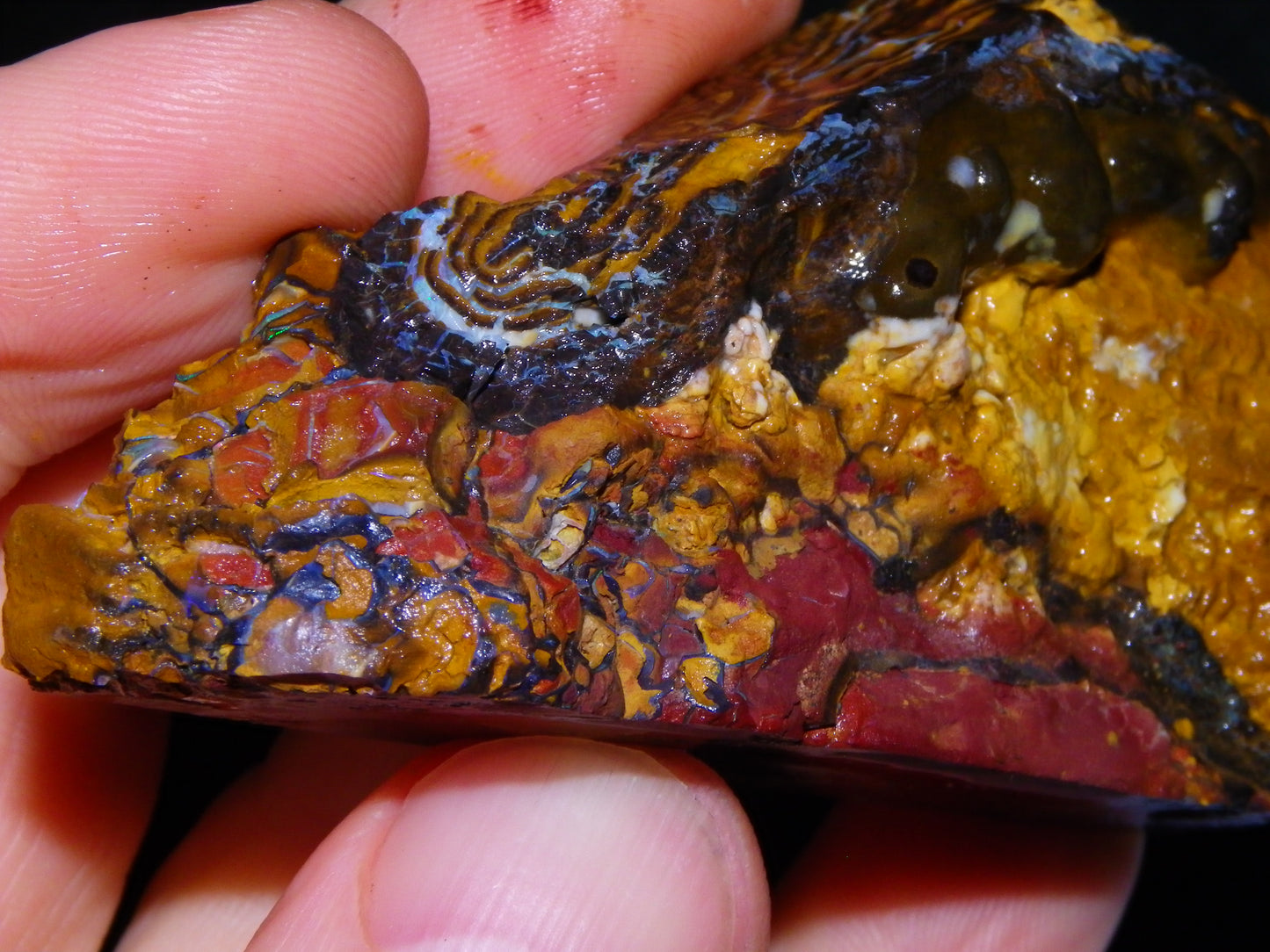 Nice Large 516cts Rough/Sliced Koroit Opal Specimen Slab Queensland Au Fires/Patterns