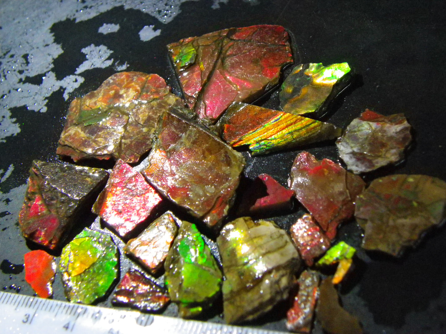 Nice Rough Ammolite Parcel 105cts Multicolours Alberta Canada :) Red/Greens