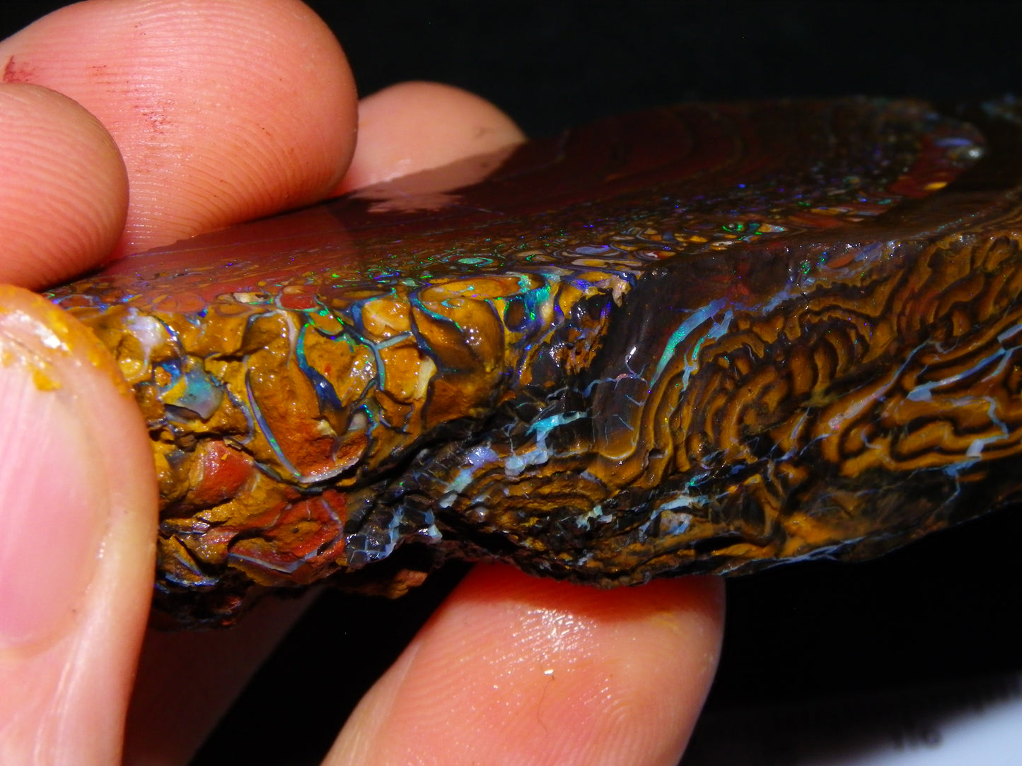 Nice Large 516cts Rough/Sliced Koroit Opal Specimen Slab Queensland Au Fires/Patterns