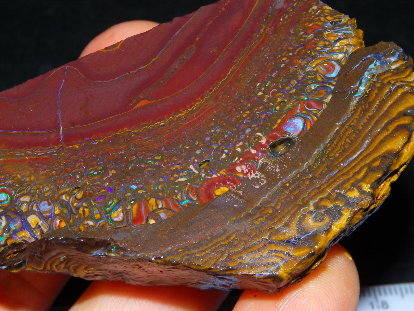 Nice Large 516cts Rough/Sliced Koroit Opal Specimen Slab Queensland Au Fires/Patterns