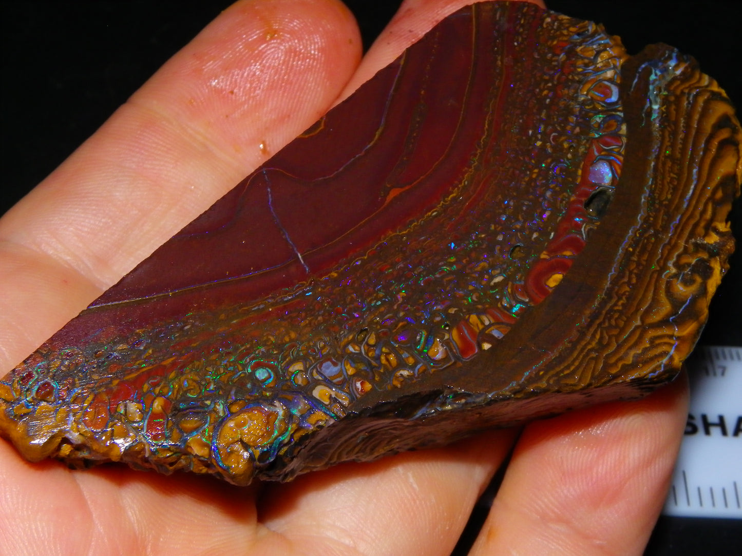 Nice Large 516cts Rough/Sliced Koroit Opal Specimen Slab Queensland Au Fires/Patterns