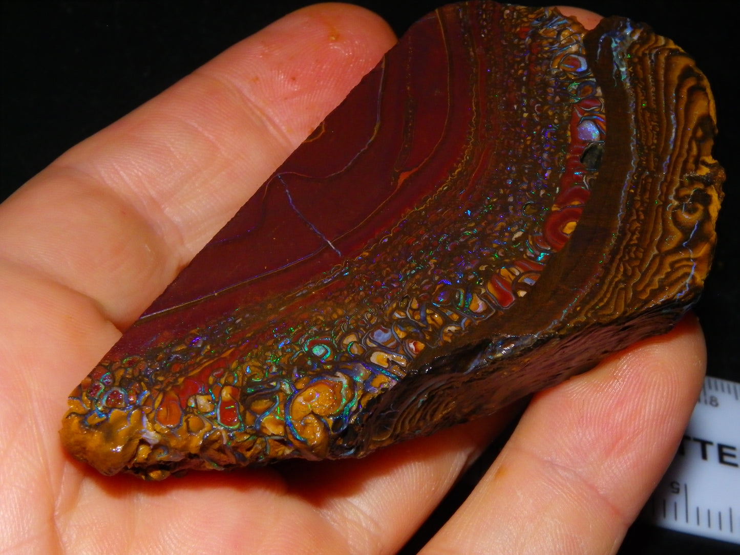 Nice Large 516cts Rough/Sliced Koroit Opal Specimen Slab Queensland Au Fires/Patterns