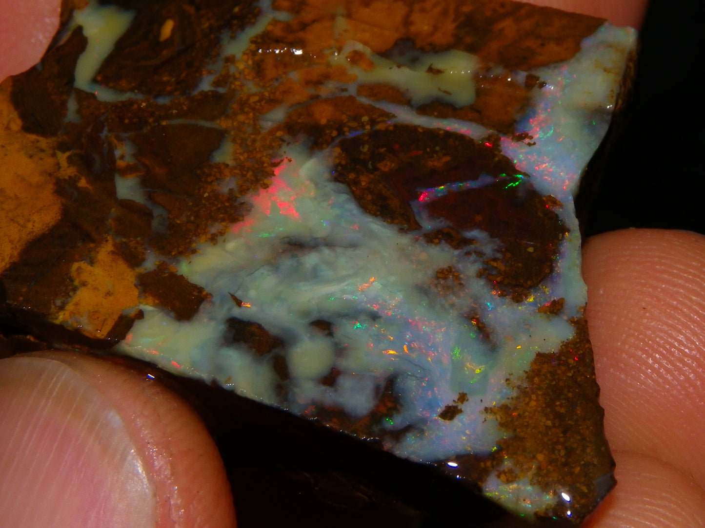 Nice Rough/Sliced/Rubbed Boulder Opal Parcel 241cts Queensland Australia :)