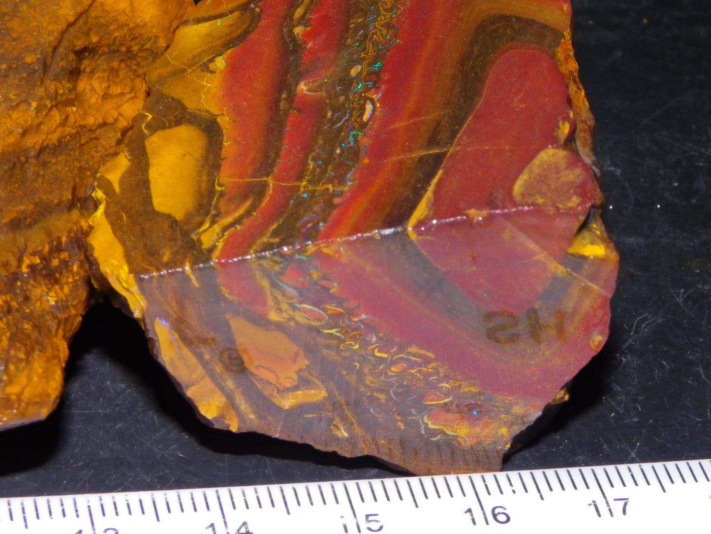 2 Larger Koroit Opal Chunks/Rough Specimens 1131cts Part Nuts, Patterns some Fires