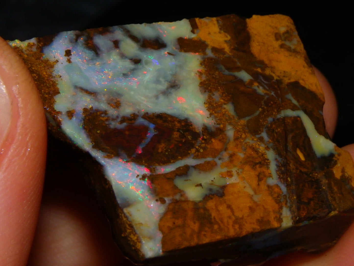 Nice Rough/Sliced/Rubbed Boulder Opal Parcel 241cts Queensland Australia :)